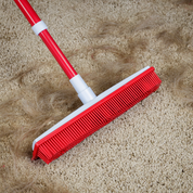 Carpet Brush